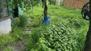 Къща Продажби, Овча купел 1, София (11)