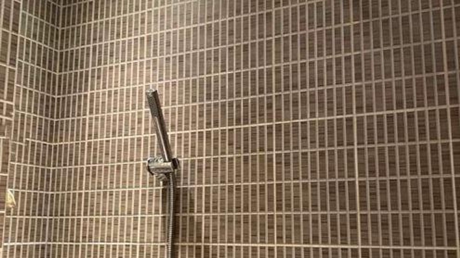 image_1758186835651_35527011029541633.jpeg