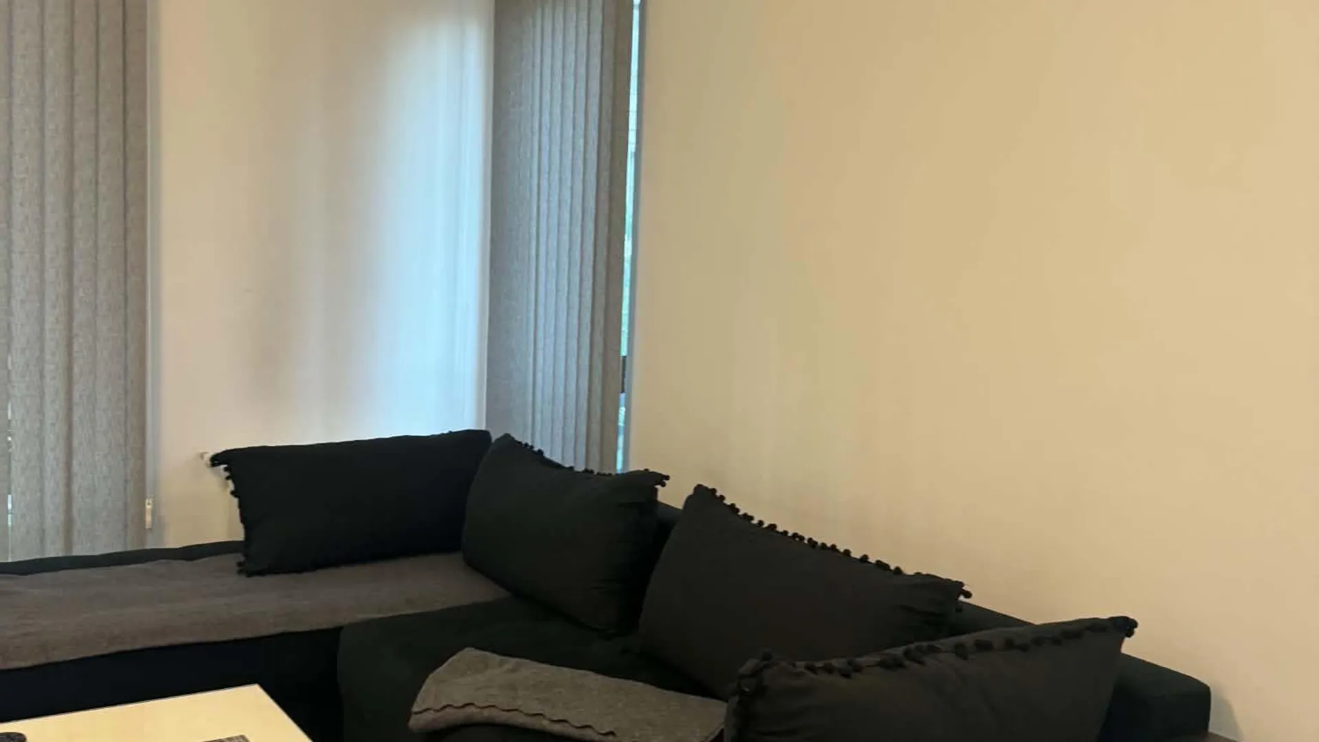 Two-bedroom Rentals, Mladost 3, Sofia – photo 3