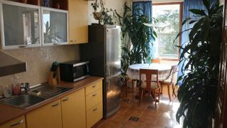 Dreizimmerwohnung Verleih, Lutschtabletten, Sofia (2)