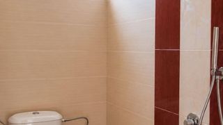 Двустаен, под наем, Център (7)