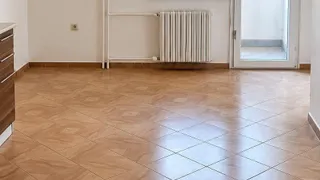 Тристаен Наеми, Манастирски ливади, София (2)