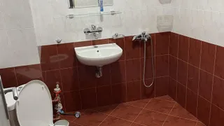 Двустаен Наеми, Стрелбище, София (10)