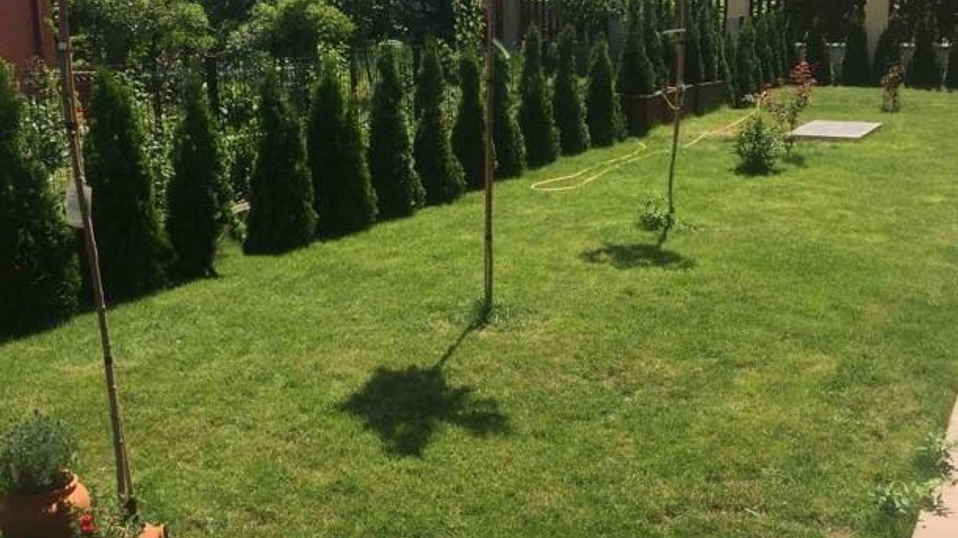 image_1748348445892_4979753365092834.jpeg