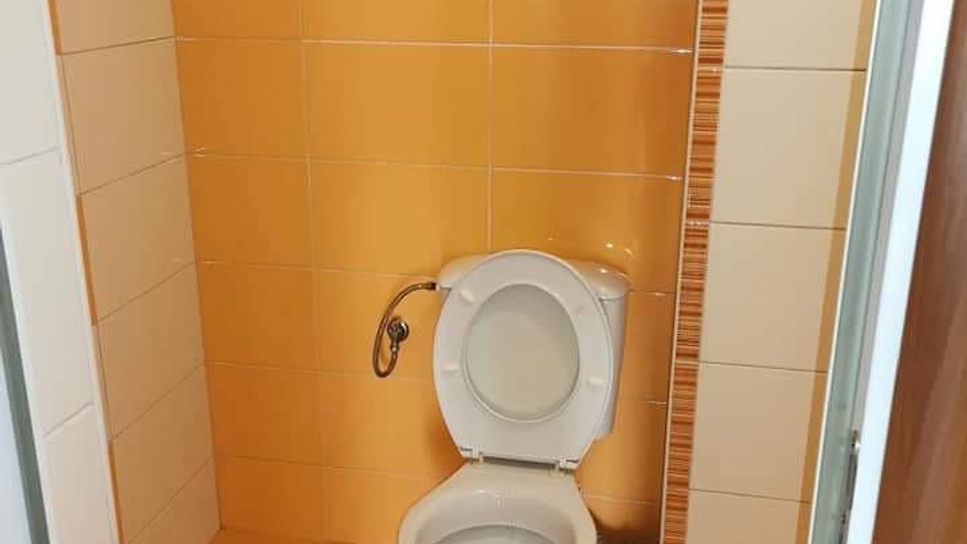 image_1750142473200_39131311273143954.jpeg