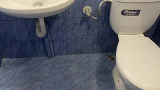 Two-bedroom Rentals, Pavlovo, Sofia (7)