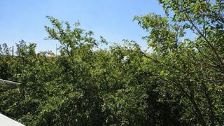 Двустаен, под наем, жк. Толстой (8)