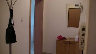 Three-room Rentals, Ovcha Kupel, Sofia (10)