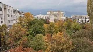 Тристаен Наеми, Мусагеница, София (11)