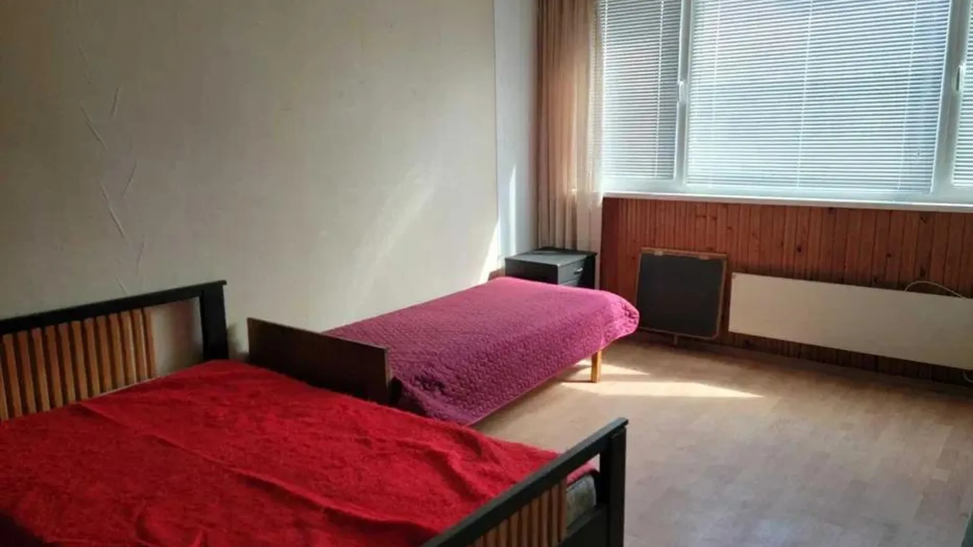 Two-bedroom Rentals, Pavlovo, Sofia – photo 2