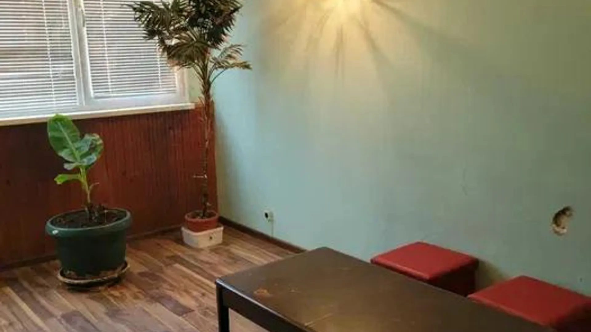 Two-bedroom Rentals, Pavlovo, Sofia – photo 3