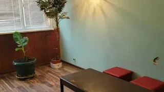 Two-bedroom Rentals, Pavlovo, Sofia (3)