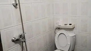 Two-bedroom Rentals, Pavlovo, Sofia (7)