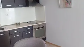 Two-bedroom Rentals, Manastirski Livadi, Sofia (2)