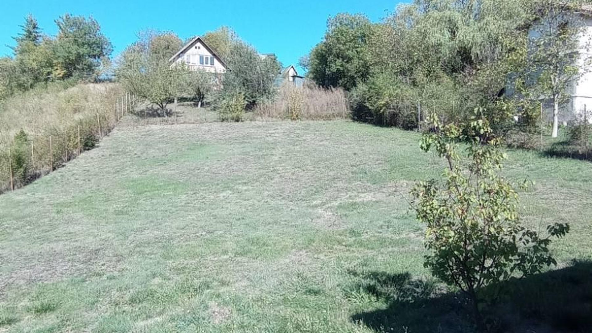 image_1747310784138_2995503510656621.jpeg