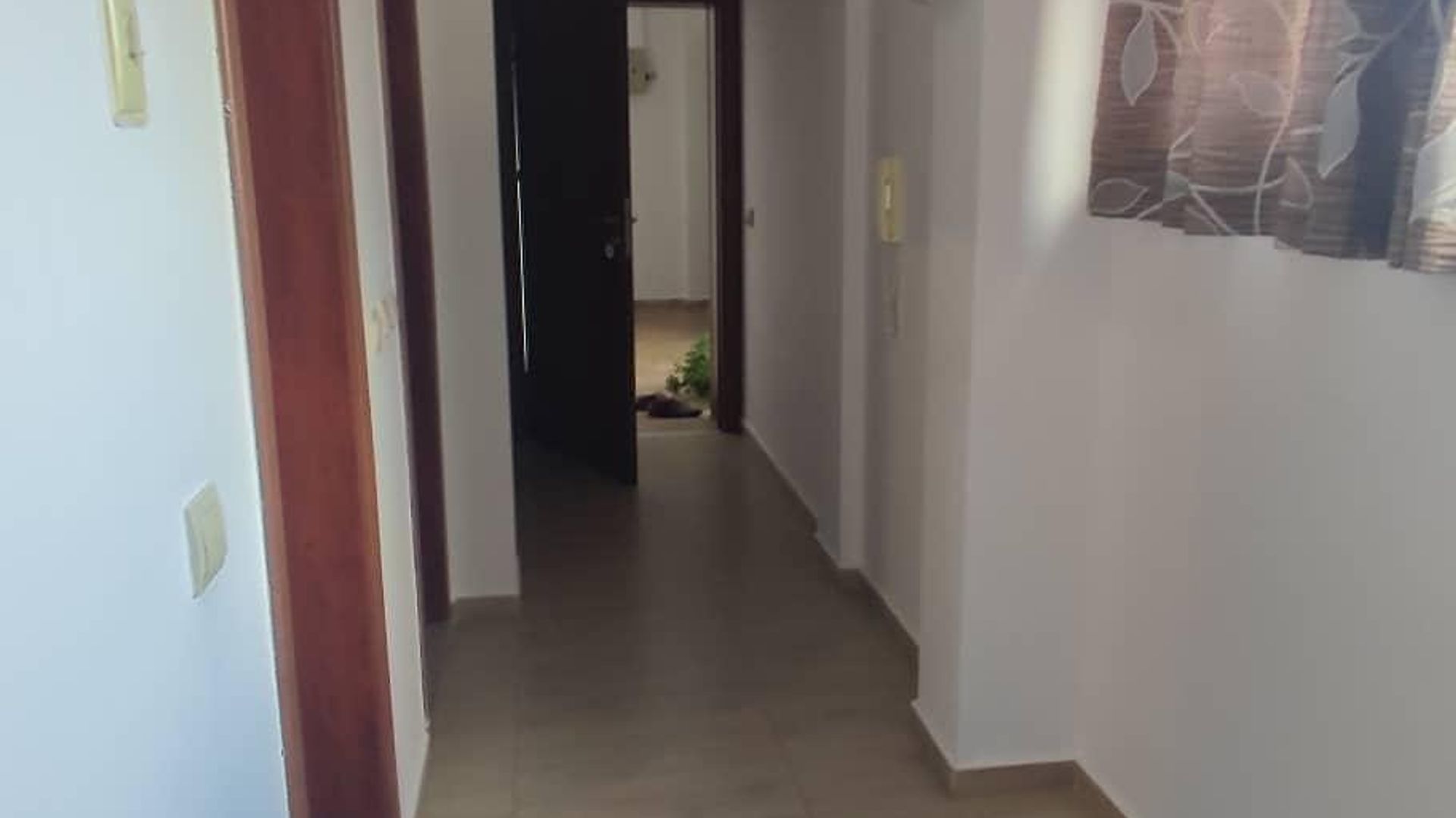 image_1754307369496_7424076243033406.jpeg