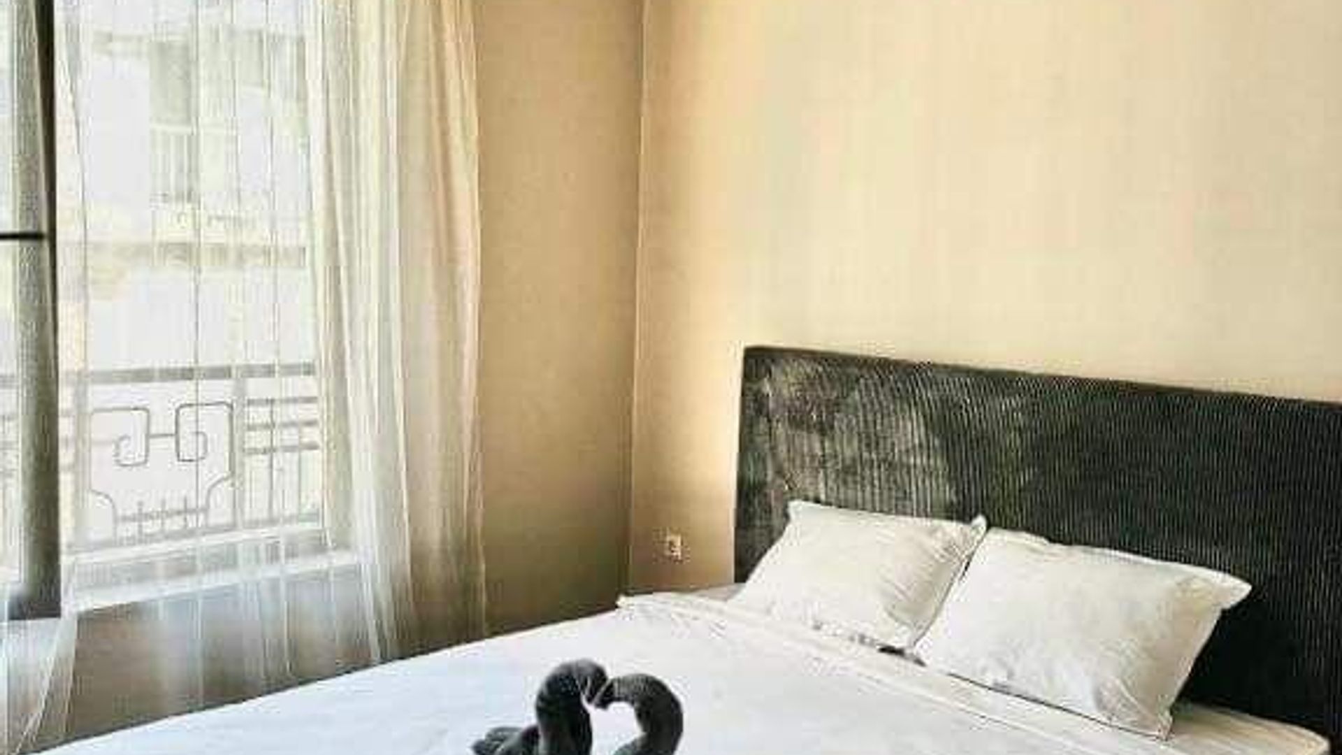 image_1759482570388_6309951120117885.jpeg
