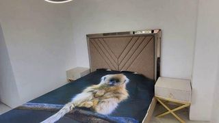 Zwei-Zimmer-Wohnung Verleih, Die Gemeinde, Warna (7)