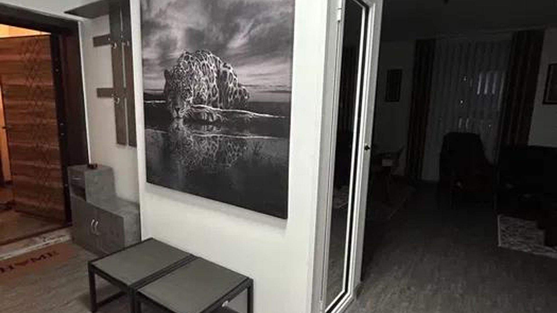 image_1753194967879_7340326459163846.jpeg
