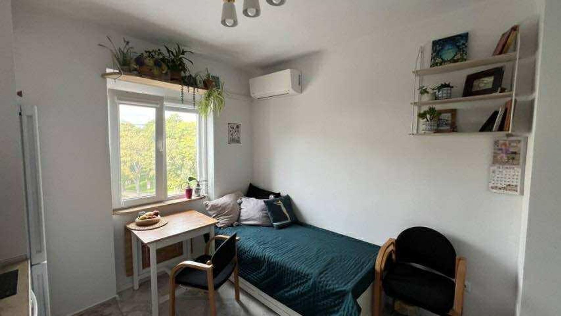image_1753273067146_40736785578386203.jpeg