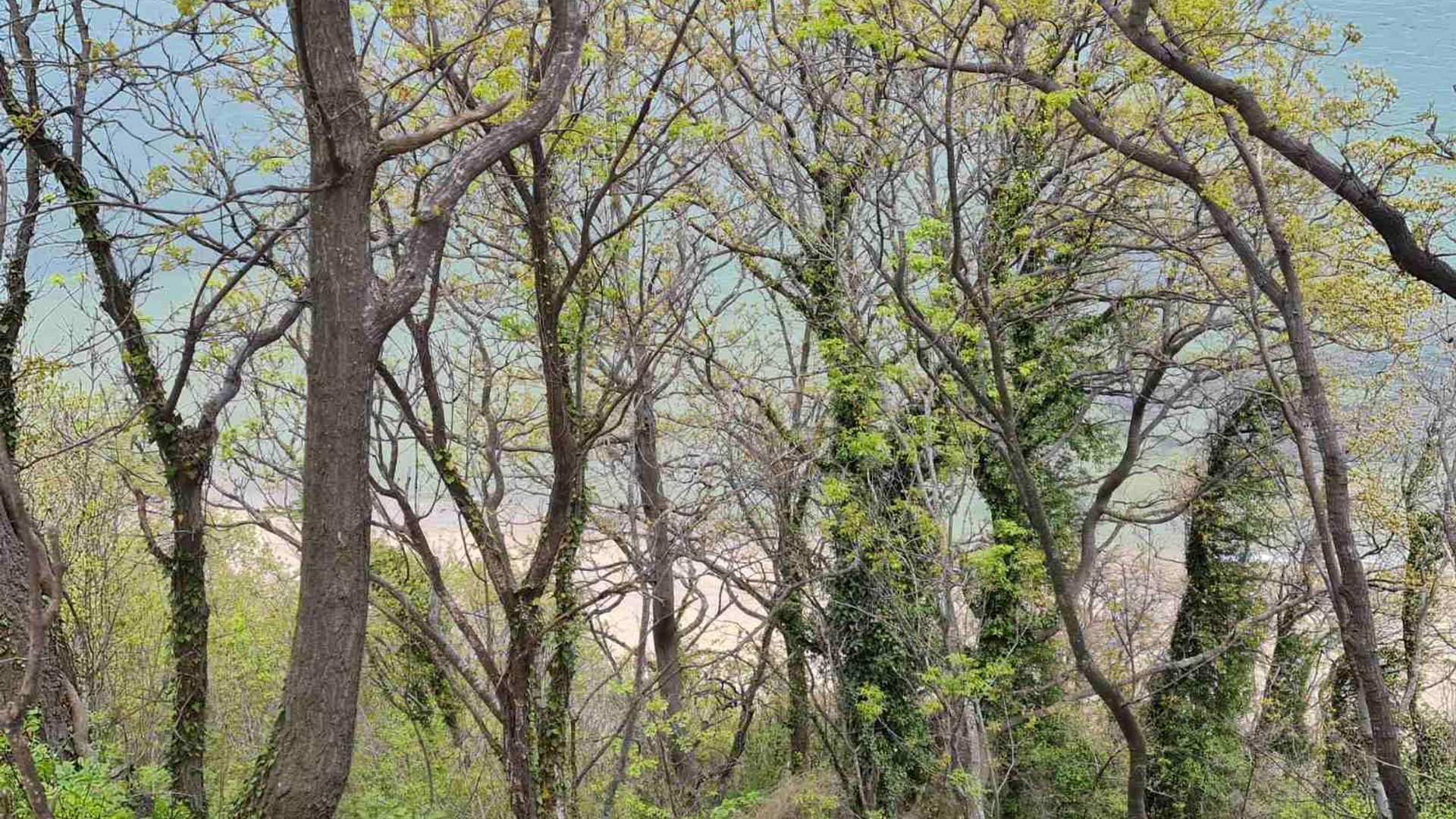 image_1757498507160_40361868128360157.jpeg