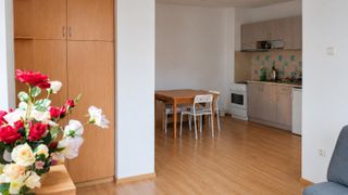 Двустаен Наеми, Каменица 1, Пловдив (2)