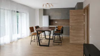 Three-room Rentals, Tsentar, Plovdiv (4)