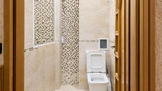 Тристаен Наеми, Каменица 1, Пловдив (9)