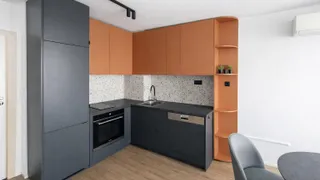 Двустаен Наеми, Остромила, Пловдив (4)