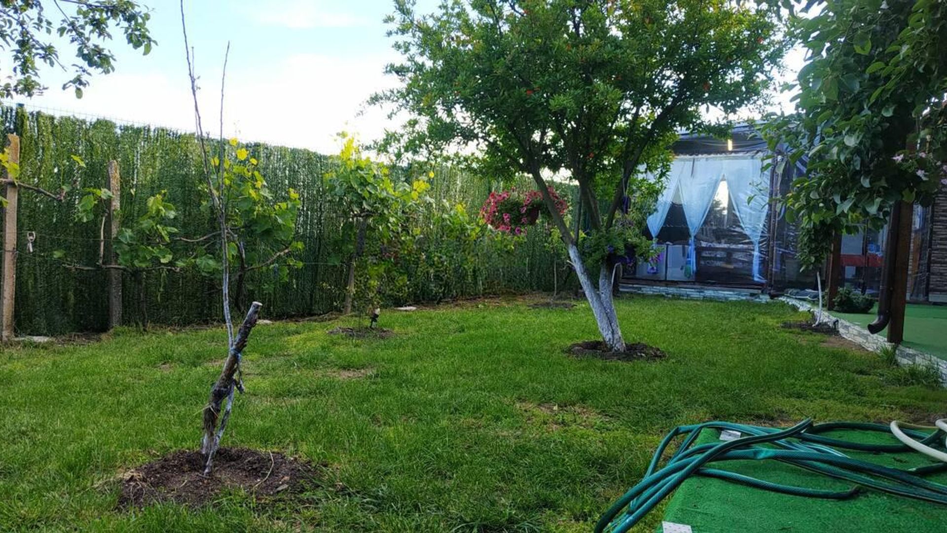 image_1749479375237_16607357091250008.jpeg