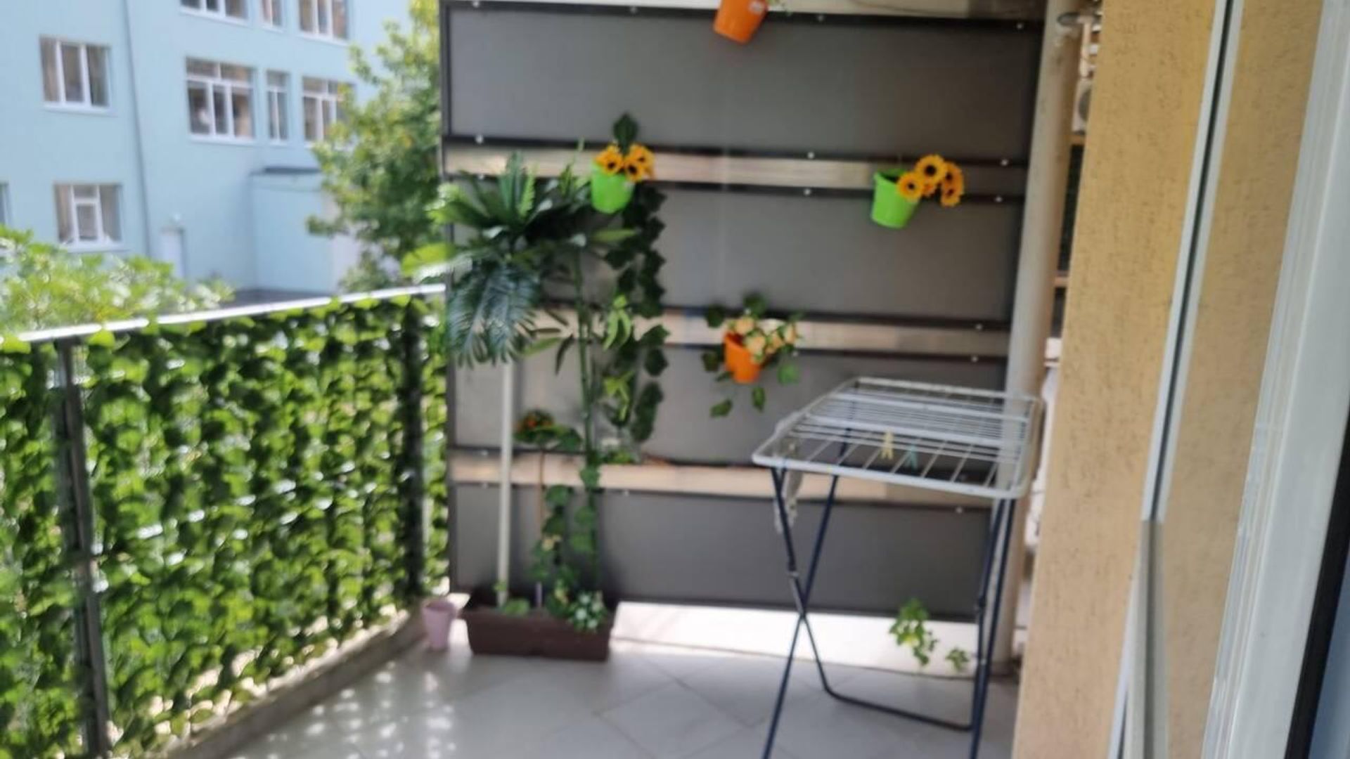 image_1753950844792_20227664774490228.jpeg
