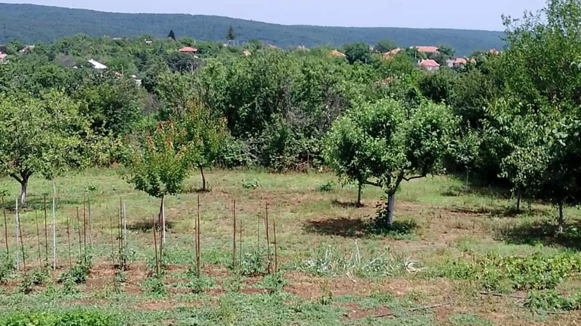 Къща Продажби, Варна – снимка 2