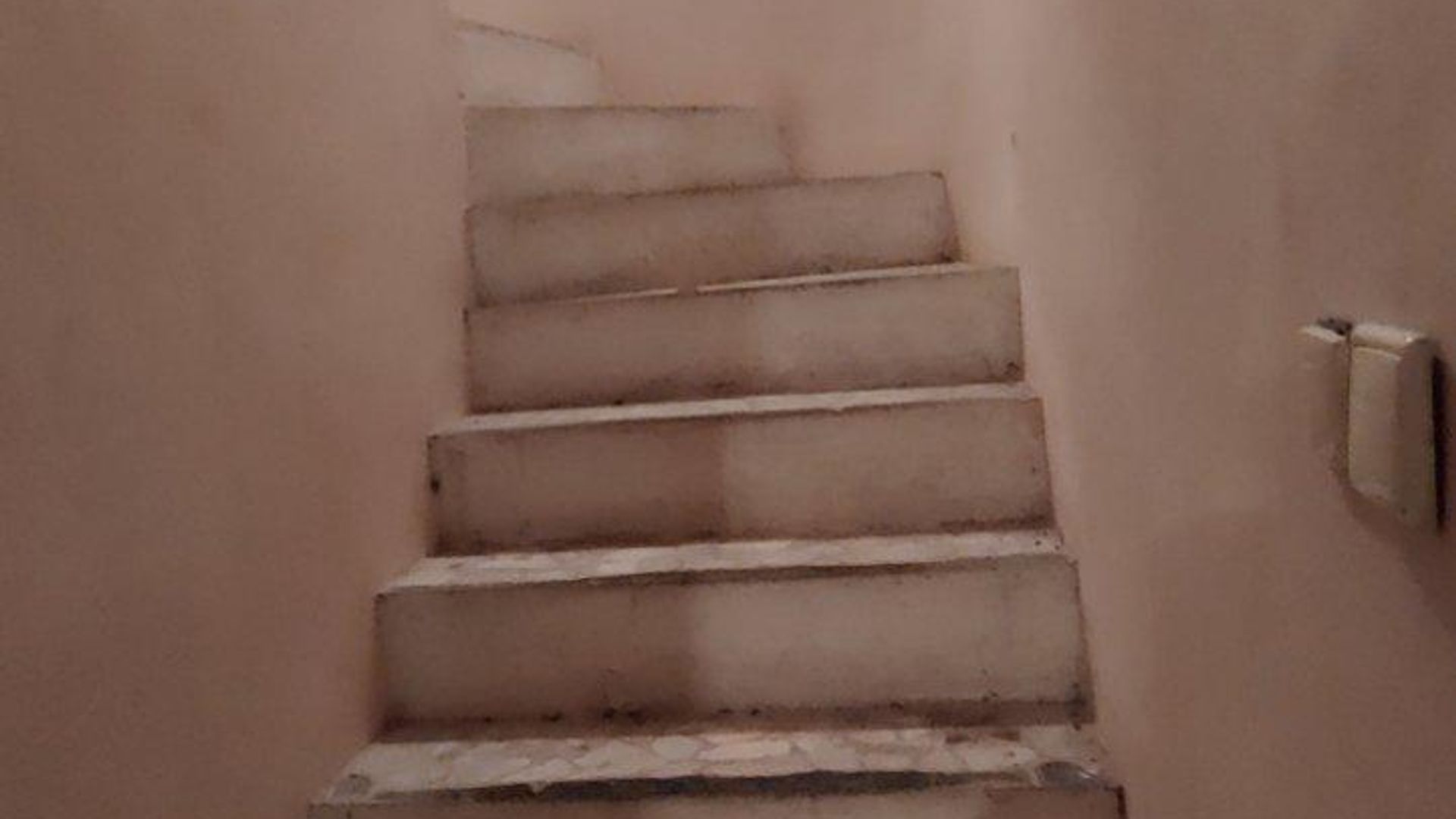 image_1789380424560_23746652401963864.jpeg