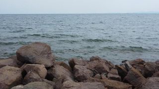 Двустаен Продажби, Бургас (5)