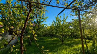 Къща Продажби, Овча купел 1, Перник (9)