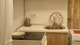 Едностаен, под наем, с. Кокаляне (4)