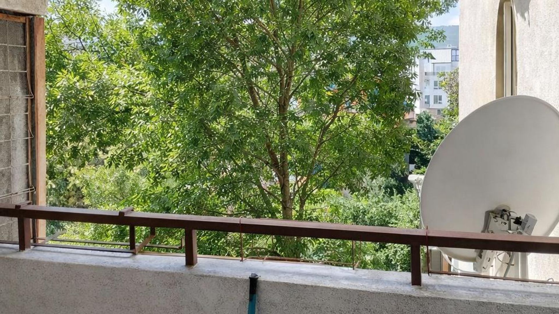 image_1784206345639_99433012075554.jpeg