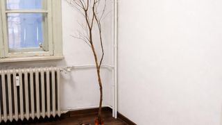 Четиристаен Наеми, Център-ЦУМ, София (5)