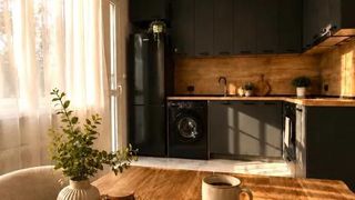 Тристаен Наеми, Оборище, София (7)