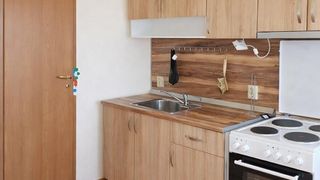Two-bedroom Rentals, Center- Isul, Sofia (3)
