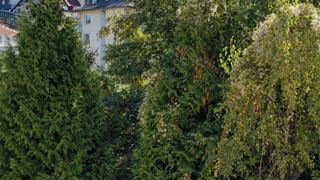 Тристаен Наеми, Лозенец, София (9)