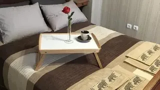 Two-bedroom Rentals, Tsentar-TSUM, Sofia (4)