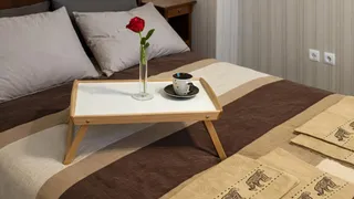 Two-bedroom Rentals, Tsentar-TSUM, Sofia (4)