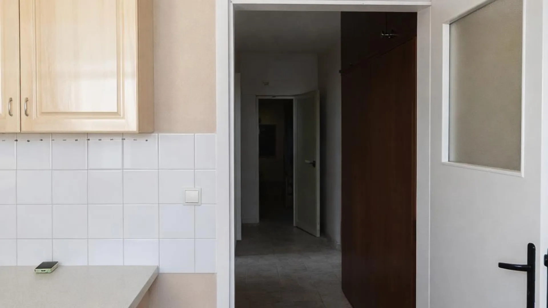Two-bedroom Rentals, Tolstoy, Sofia – photo 3