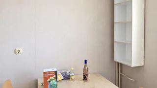 Two-bedroom Rentals, Tolstoy, Sofia (4)
