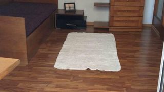 Dreizimmerwohnung Verleih, Borovo, Sofia (4)