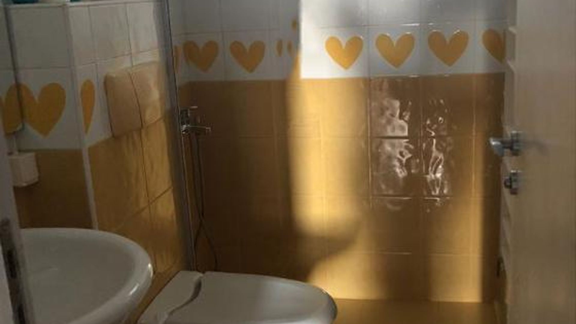 image_1754376910739_3799202493025857.jpeg