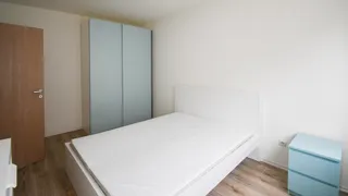 Three-room Rentals, Manastirski Livadi, Sofia (9)