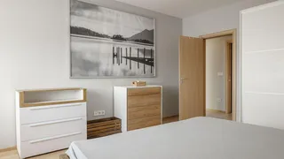 Three-room Rentals, Manastirski Livadi, Sofia (7)
