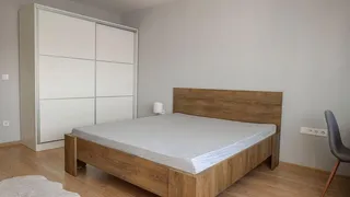 Three-room Rentals, Manastirski Livadi, Sofia (5)